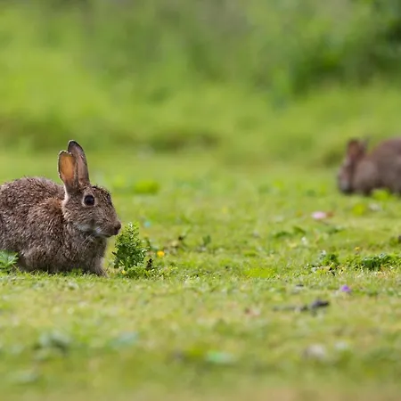 Yorkshire Dales 17 By Together Travel - 3-bed Premium Family
